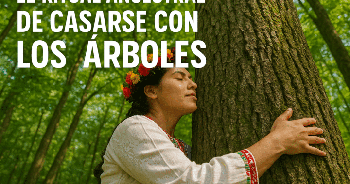 Casarse con árboles: ritual ancestral, amor verde y activismo único
