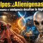 Imagen generada con IA para el artículo Pulpos: ¿Origen Alienígena? Su Genoma e Inteligencia Fascinan