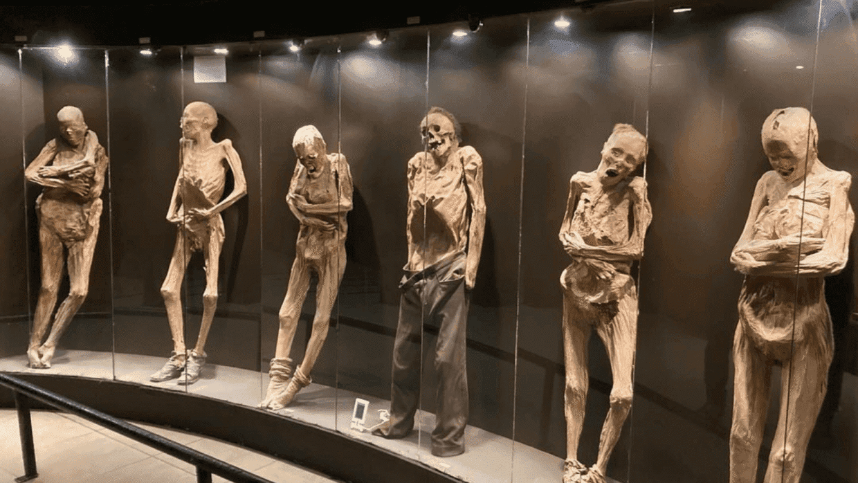 Los 10 Museos Más Raros del Mundo: Un Viaje entre lo Macabro, lo Bizarro y lo Fascinante 7 museo momias guajanato mexico elmundoesflipante