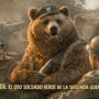 Imagen generada con IA para el artículo Wojtek: El Oso Soldado Héroe de Montecassino y la II Guerra Mundial