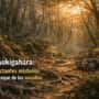 Imagen generada con IA para el artículo Aokigahara: Los Impactantes Misterios del Bosque de los Suicidios en Japón