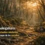 Imagen generada con IA para el artículo Aokigahara: Los Impactantes Misterios del Bosque de los Suicidios en Japón