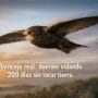 Imagen generada con IA para el artículo Asombroso vencejo real: Vuela 200 días sin parar y duerme volando