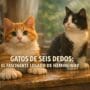 Imagen generada con IA para el artículo Hemingway: El Fascinante Legado de Sus Gatos de Seis Dedos en Cayo Hueso