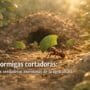 Imagen generada con IA para el artículo Hormigas Cortadoras: Pioneras de la Agricultura por Millones de Años