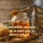 Imagen generada con IA para el artículo La Miel Nunca Caduca: ¡El Increíble Secreto Revelado!