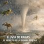 Imagen generada con IA para el artículo Asombrosa Lluvia de Ranas: la Ciencia tras la Tromba Marina