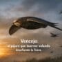 Imagen generada con IA para el artículo Vencejo: el increíble pájaro que duerme volando y desafía la física