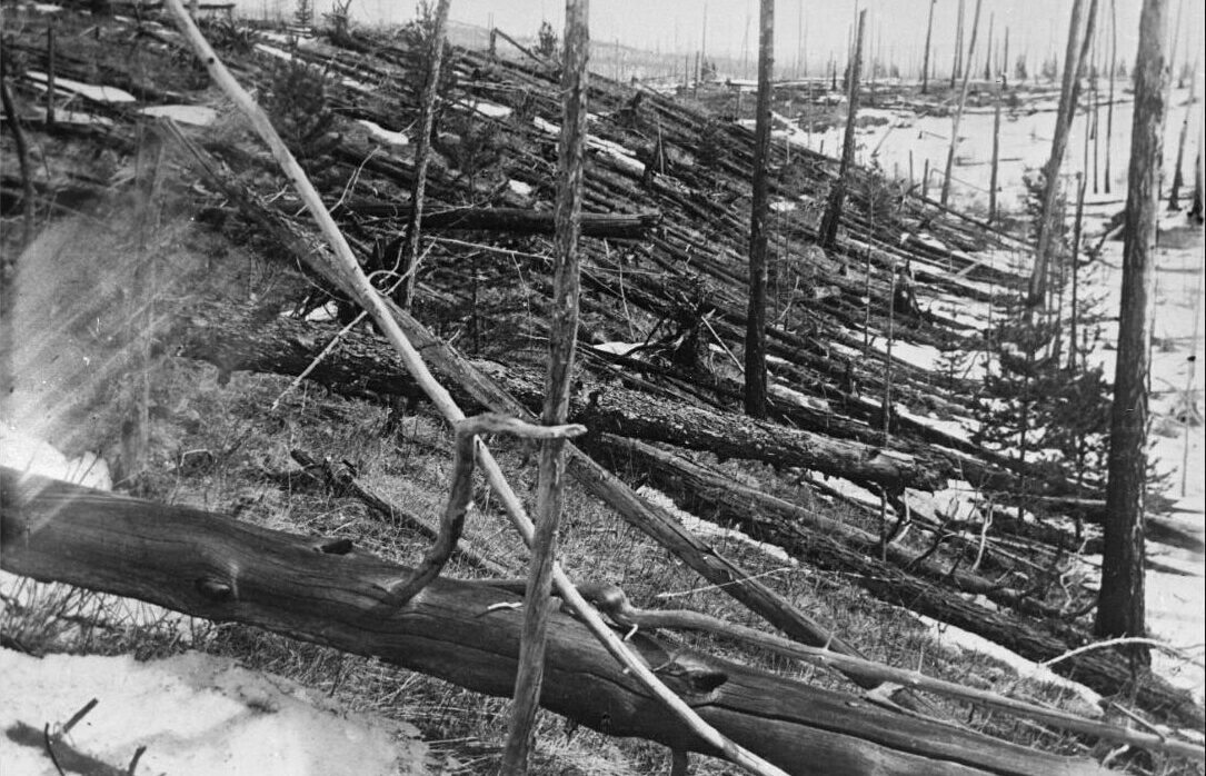 Bosque siberiano con miles de troncos de árboles derribados en la misma dirección tras la explosión de 1908