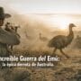 Imagen generada con IA para el artículo Increíble Guerra del Emú: Australia, 1932. ¡Derrota Épica!