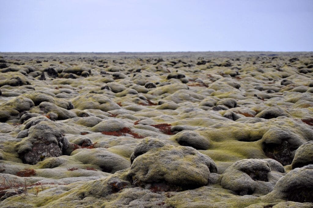 Campo de lava volcánica islandesa cubierto de musgo con formaciones rocosas donde la tradición sitúa a los elfos