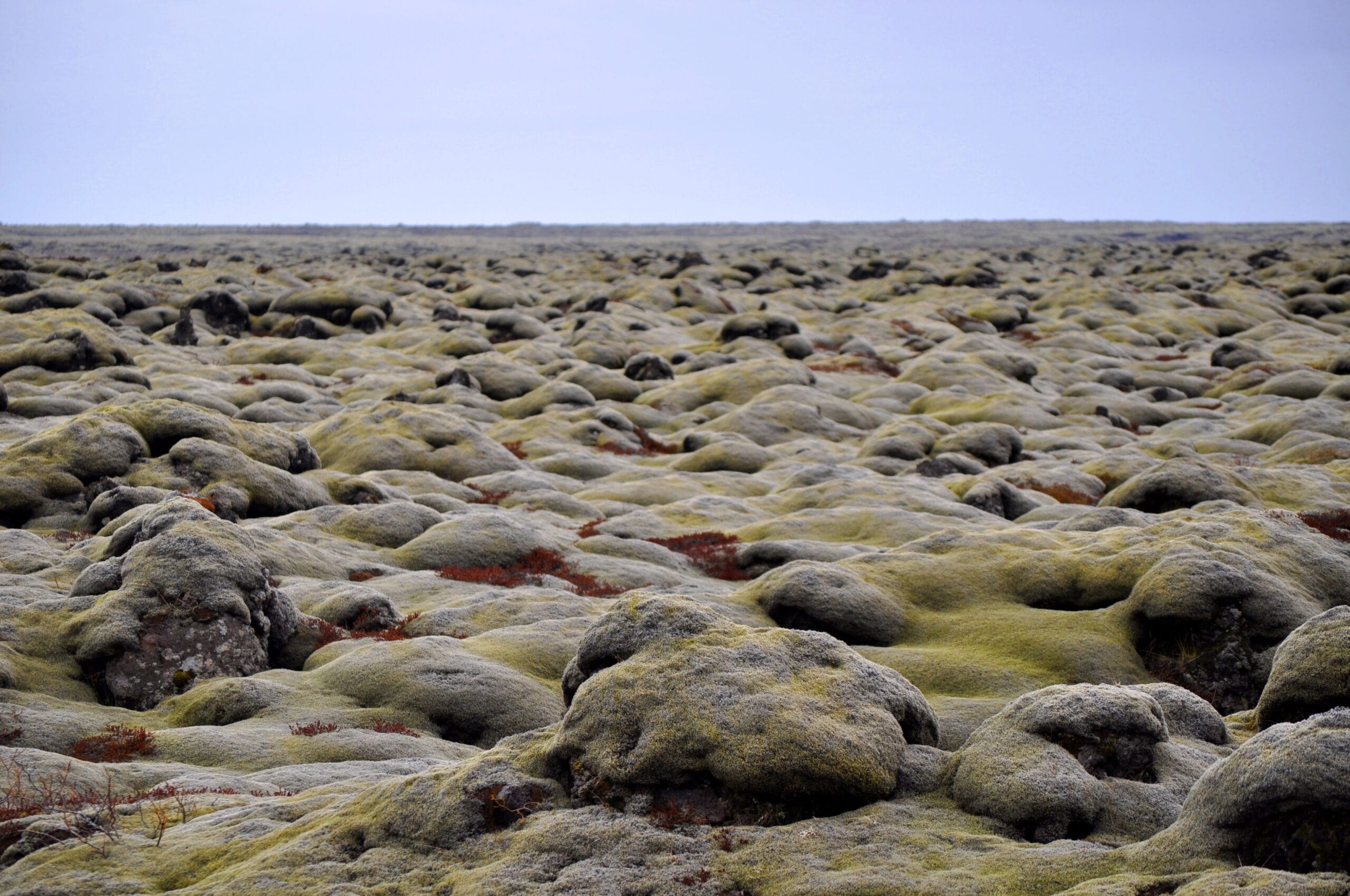 Islandia y el huldufólk: obras y carreteras que se rediseñan por elfos 5 Campo de lava volcánica islandesa cubierto de musgo con formaciones rocosas donde la tradición sitúa a los elfos