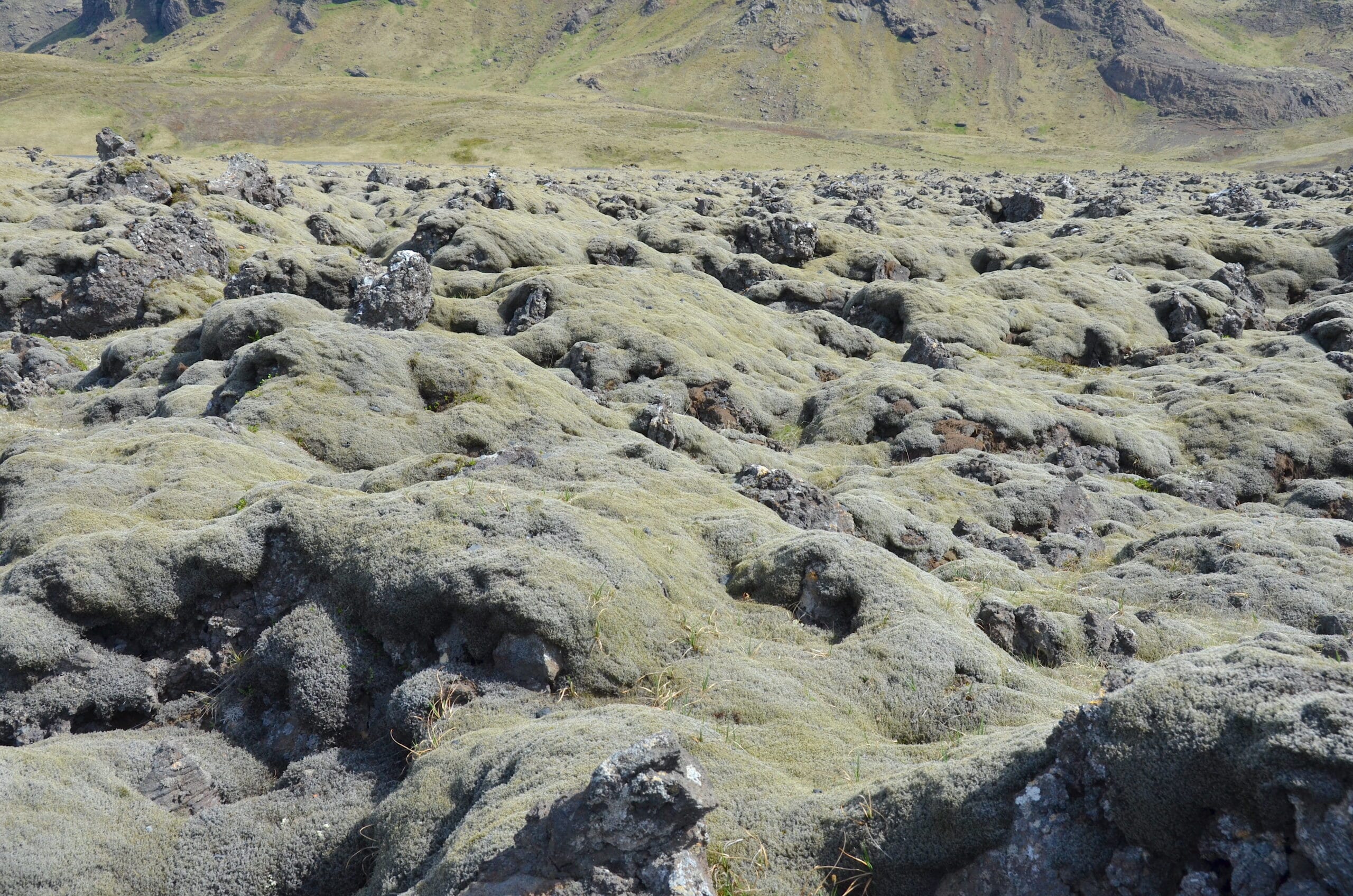 Paisaje de colinas de lava cubiertas de musgo verde en el interior de Islandia