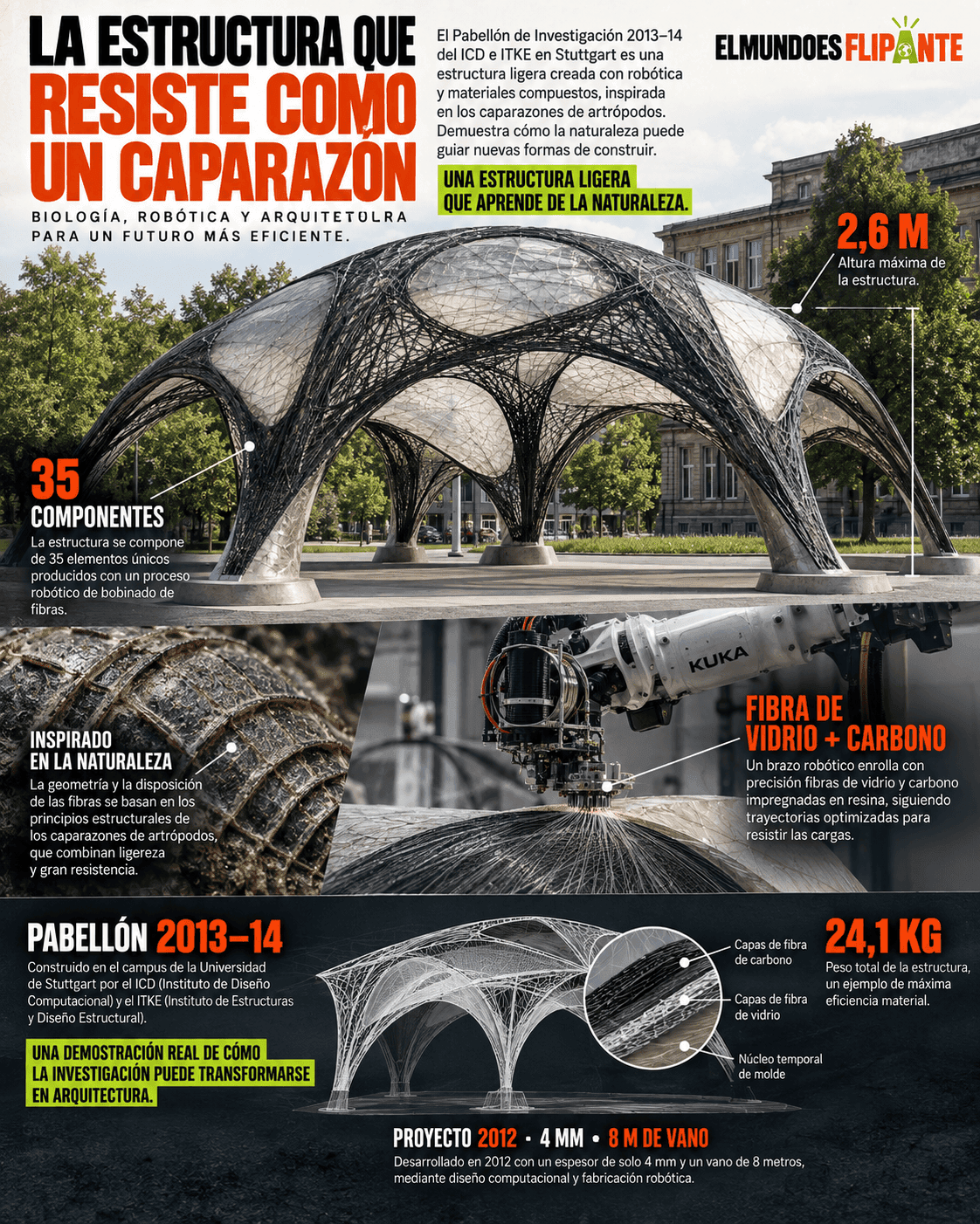 La estructura que aprendió a resistir como un caparazón 7 Infografía editorial del pabellón ICD ITKE y su estructura de fibras inspirada en exoesqueletos