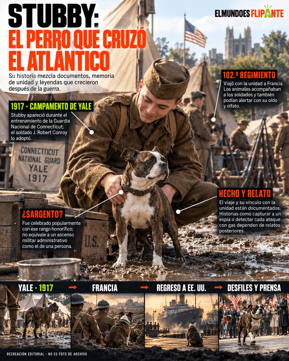 Stubby, el perro de guerra cuya leyenda necesita algunas notas al pie 1 Infografía editorial ampliada de Stubby: sitúa su aparición en el campamento de Yale en 1917, su viaje con el 102.º Regimiento y separa los hechos documentados de relatos posteriores sobre sus hazañas y rango honorífico.